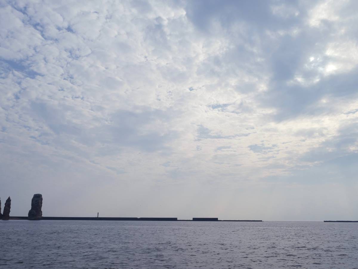 cytaty Anny Przybylskiej