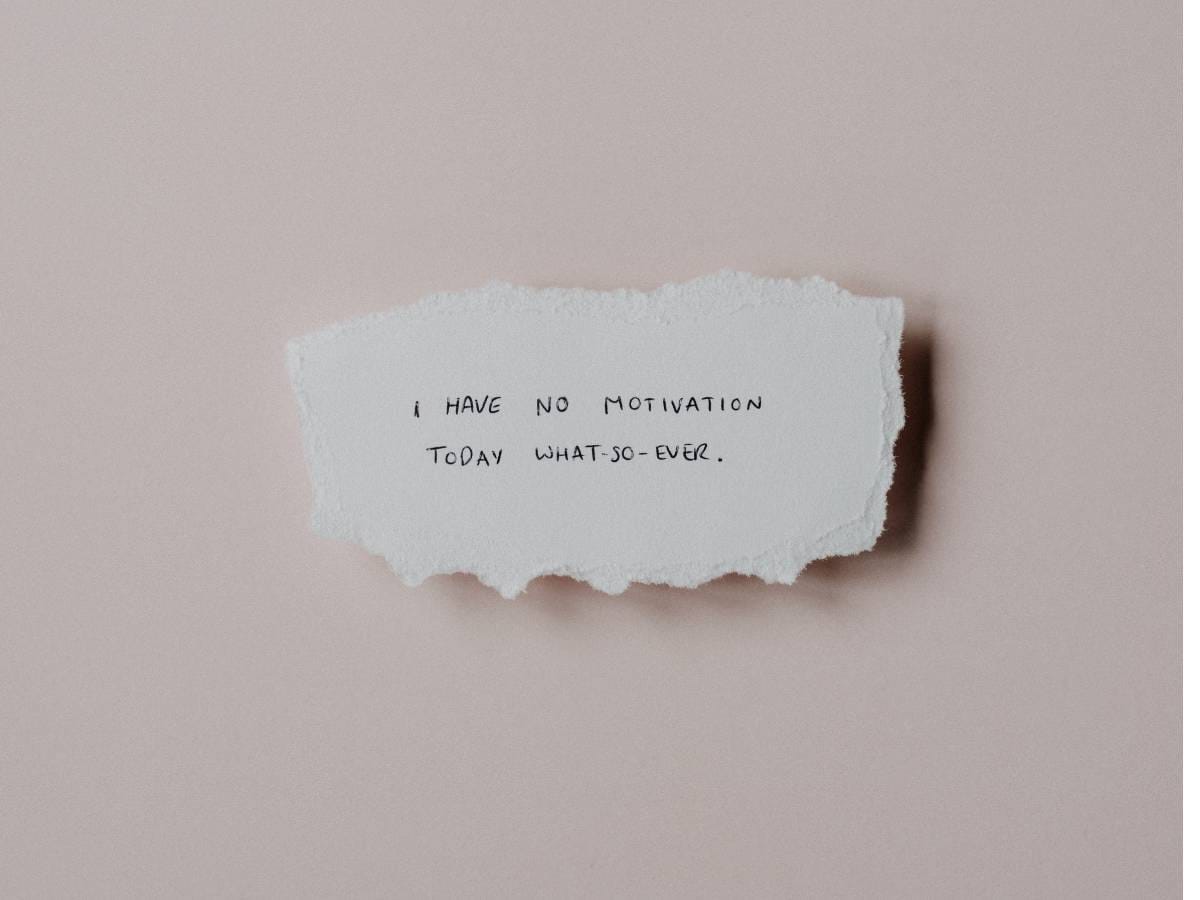 cytaty Jacka Walkiewicza