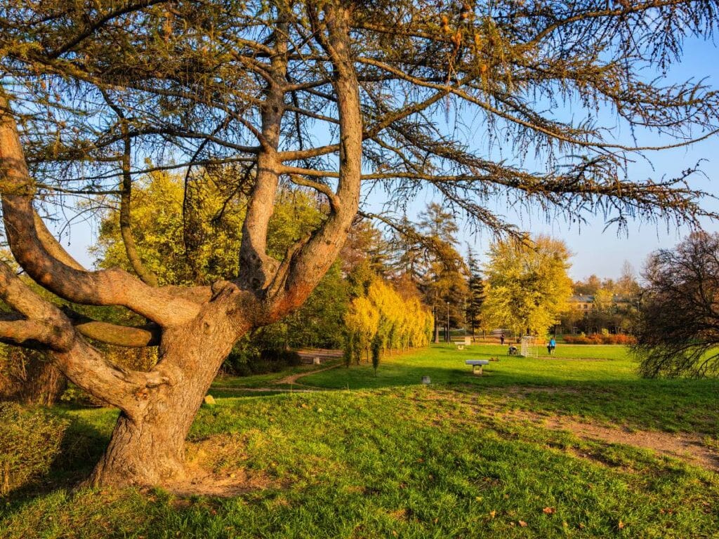 cytaty Janusza Tracza