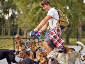 cytaty Paula Walkera