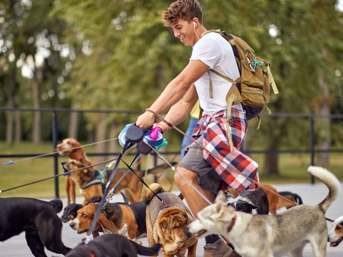 cytaty Paula Walkera