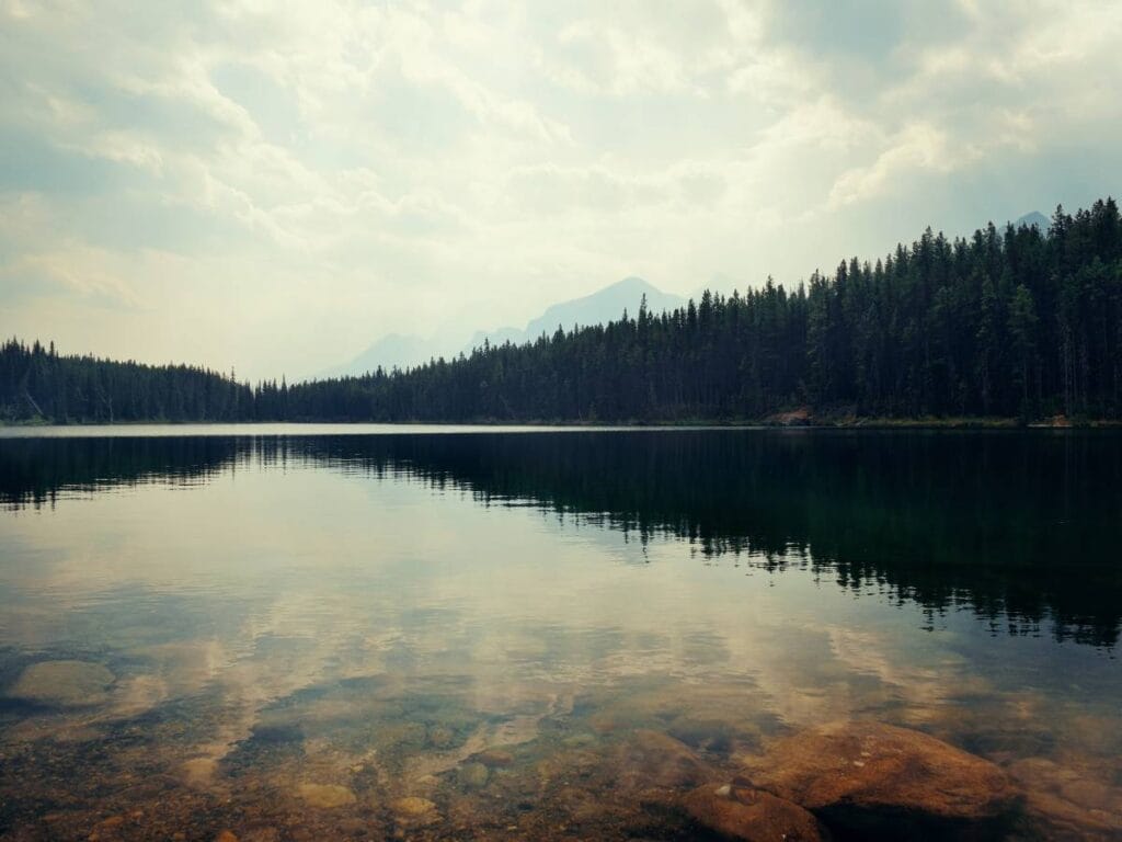 cytaty Zbigniewa Herberta