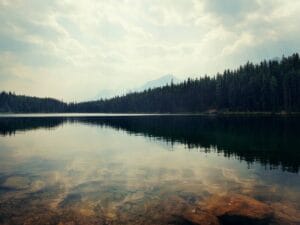 cytaty Zbigniewa Herberta