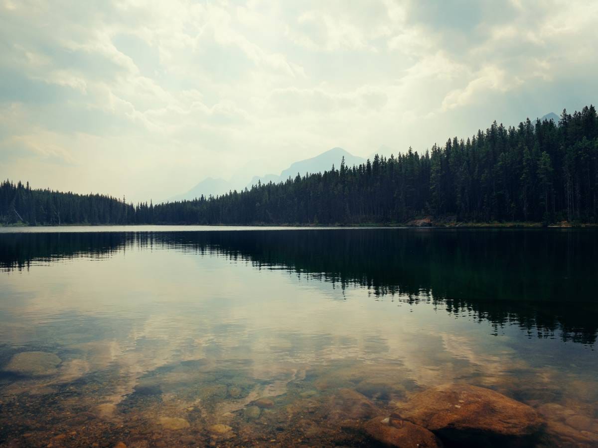 cytaty Zbigniewa Herberta