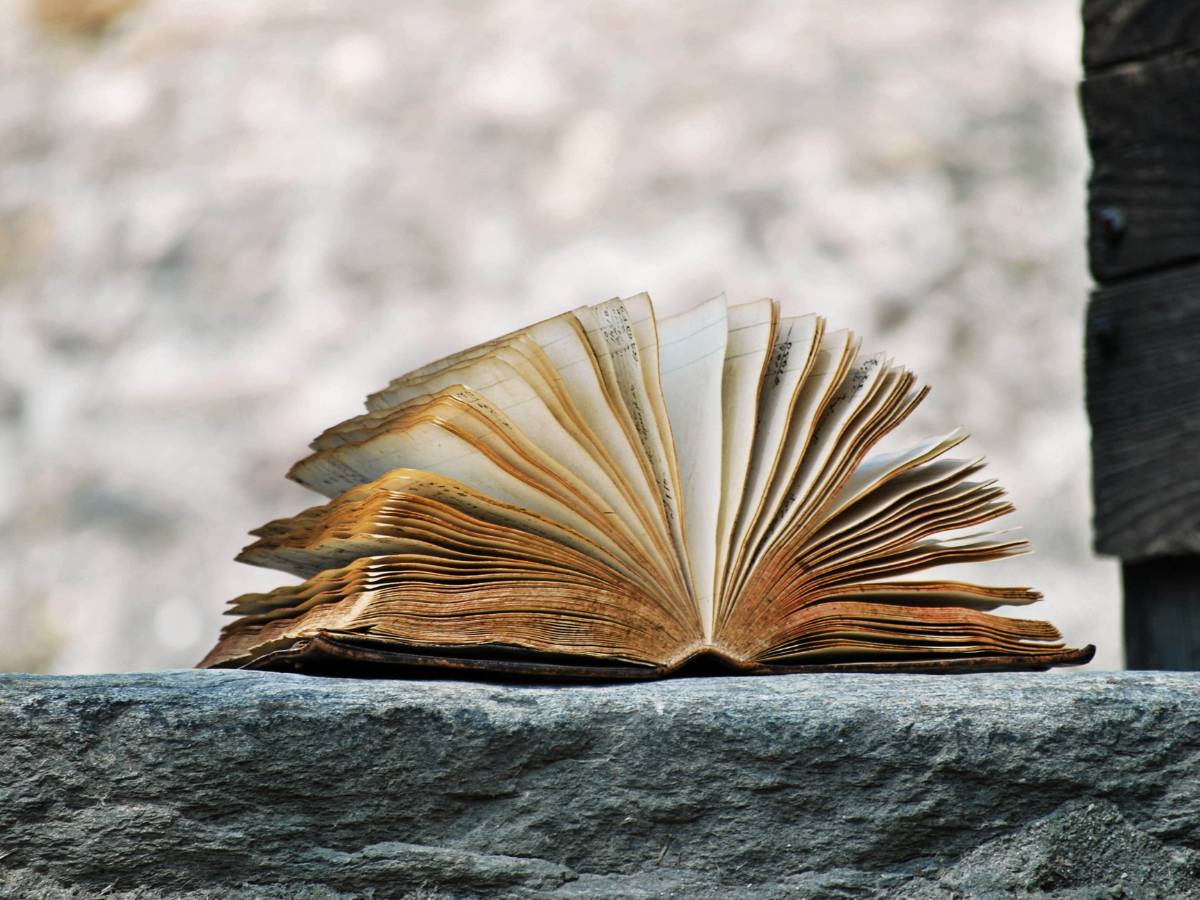 cytaty o wartościach w życiu