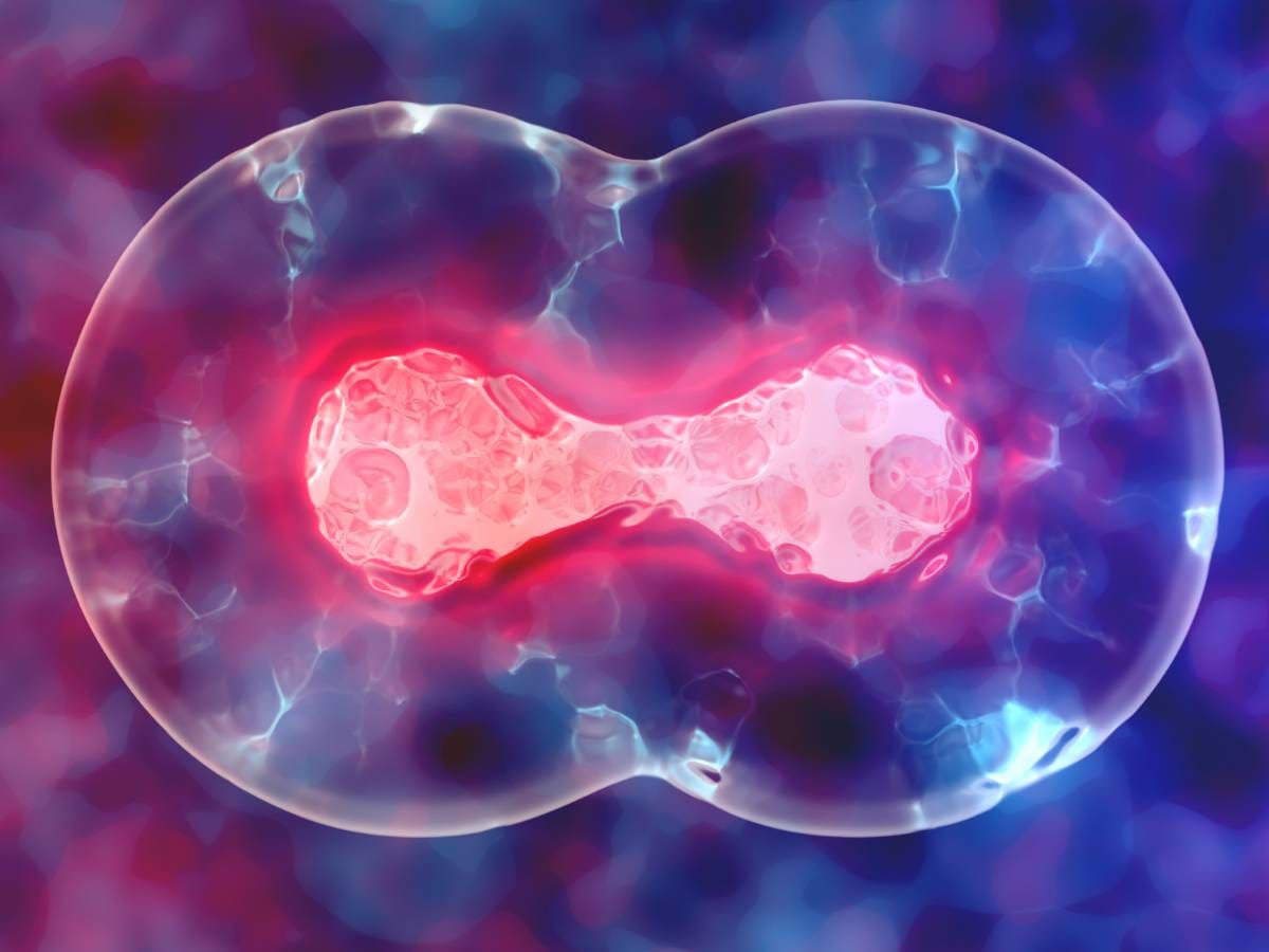 Abstrakcja obrazująca powielanie komórek.