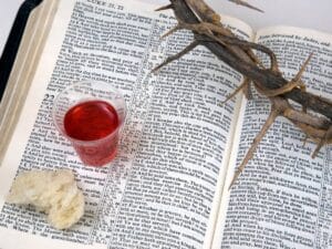 Róża na otwartej księdze