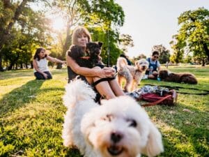 Ludzie ze swoimi psami w parku