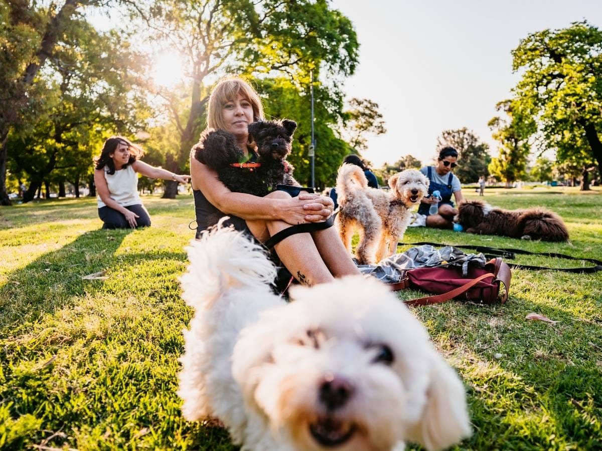 Ludzie ze swoimi psami w parku